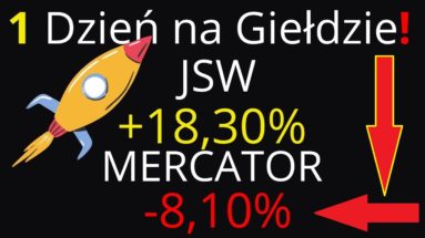 euforia jsw