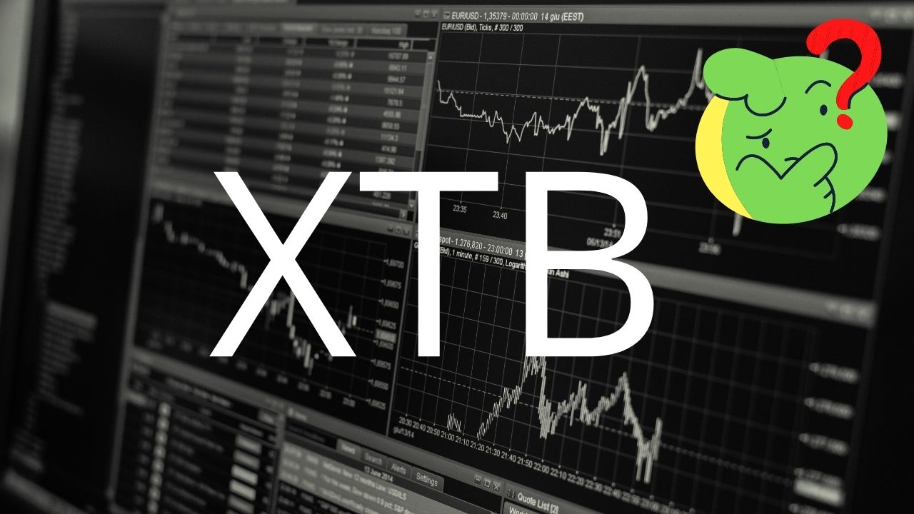 XTB rośnie po wynikach