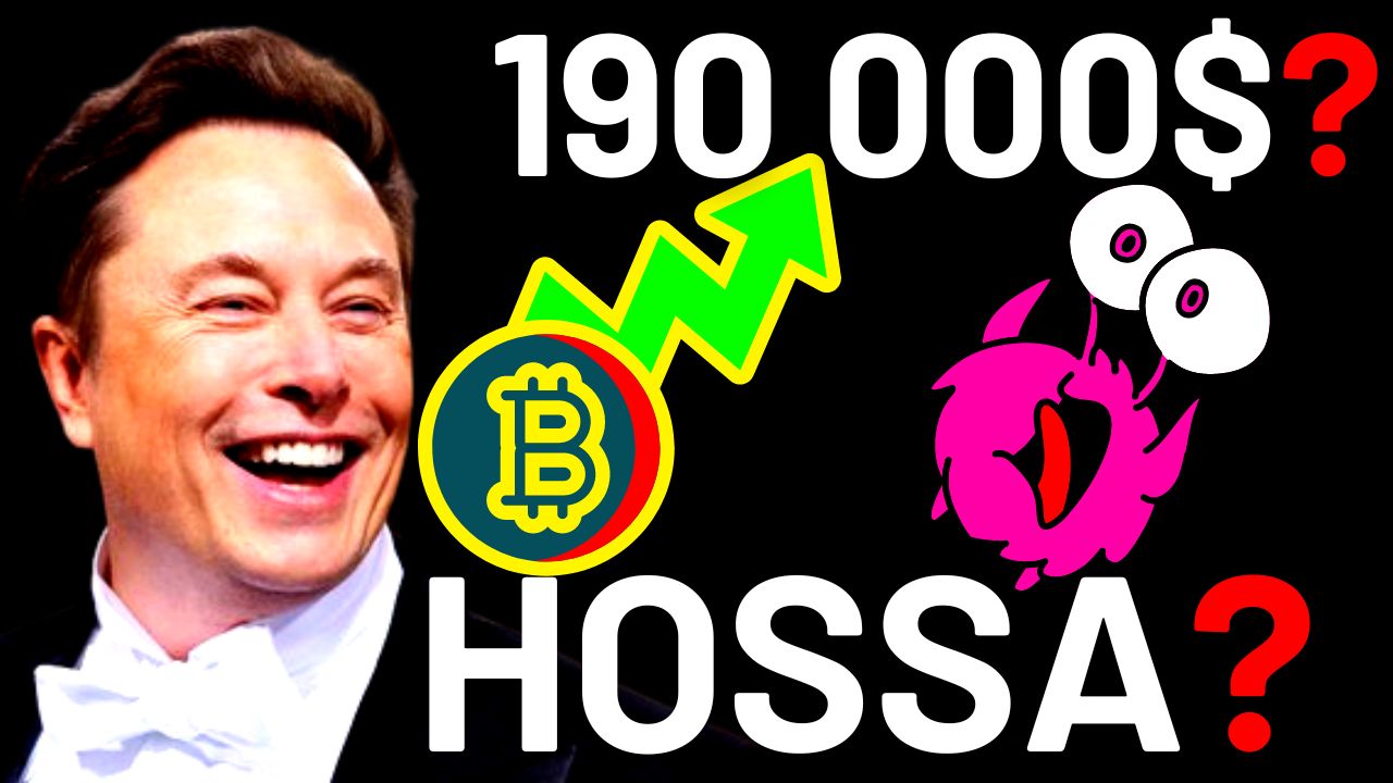 Hossa na Kryptowalutach 💥 Bitcoin będzie po 190 000 USD 🚀